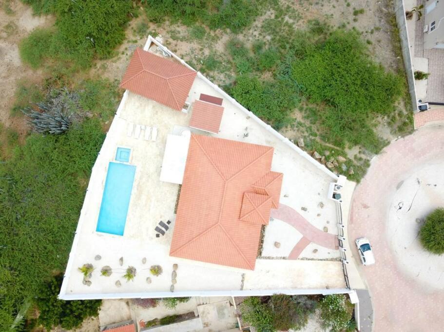 Jolie Villa Entire Villa In Noord, Aruba Palm Beach Esterno foto